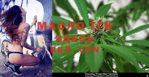 стаф Арсеньев