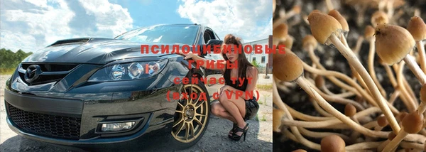 стаф Арсеньев
