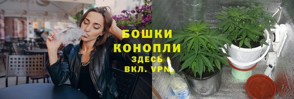 стаф Арсеньев