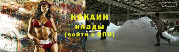 стаф Арсеньев