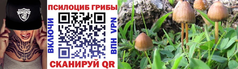 Псилоцибиновые грибы мухоморы  как найти наркотики  Константиновск 